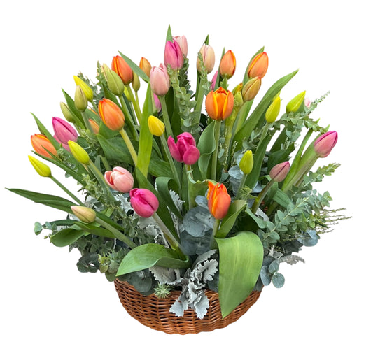 Canasta de 40 tulipanes