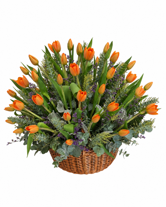 Canasta de 60 tulipanes