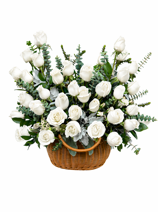 Rosas hermosas