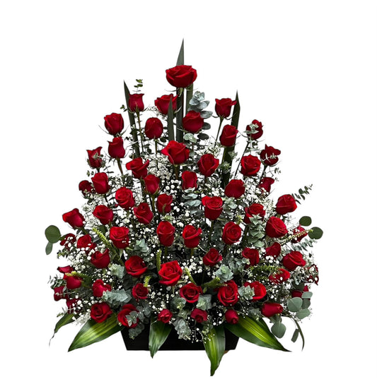 Arreglo de una vista