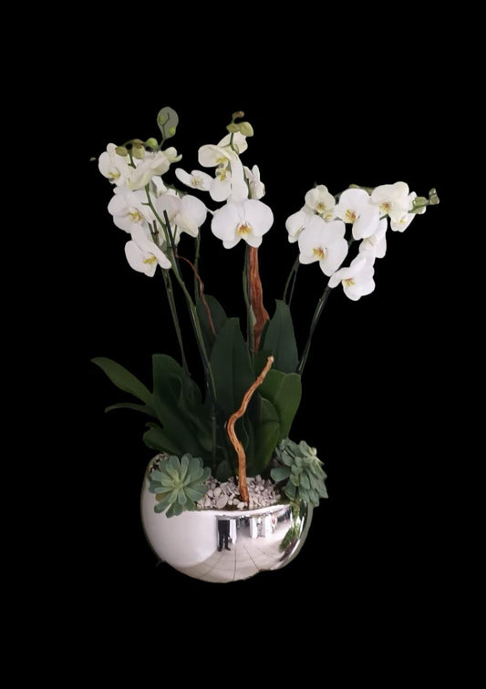 Maceta de orquidea plateada