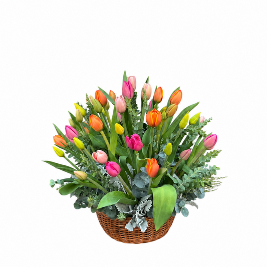 Canasta de 40 tulipanes