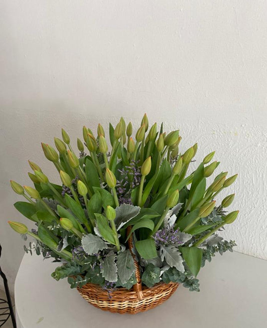 Canasta de 60 tulipanes